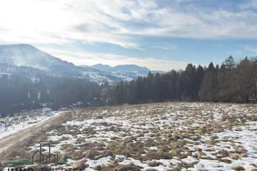 68DdRXwK7BR0lnTTK1SHb1