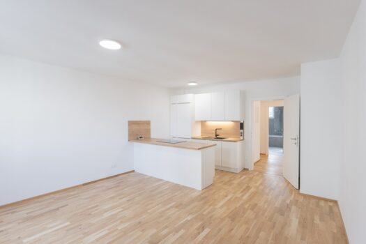 6EJtTKu4ouQ9ySvQcvN2YA