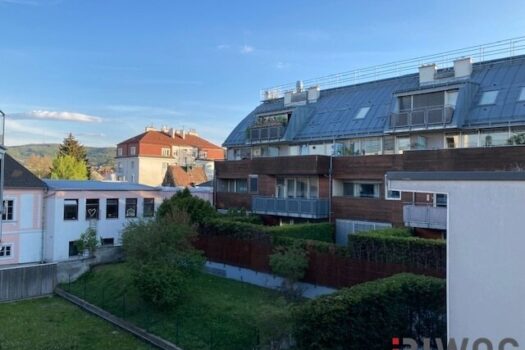 3 Zimmer-Wohnung mit Garten in den grünen Innenhof 6FklSuPqiT88eKB163Ul2K