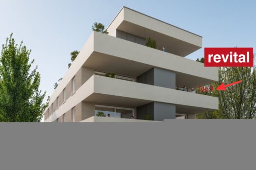 6JBX3rDqzyMtMgrO3SbFQV