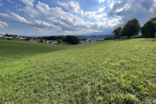 6N0Uggo8UxDFYijyyiGlW6