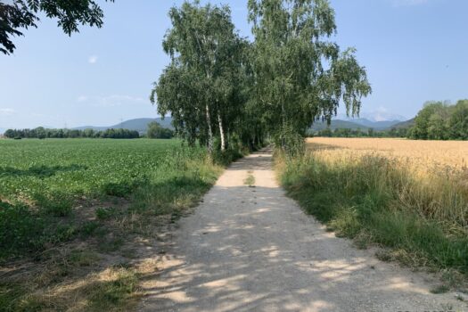 6O43ZmjNYckwxPdjPsjRid