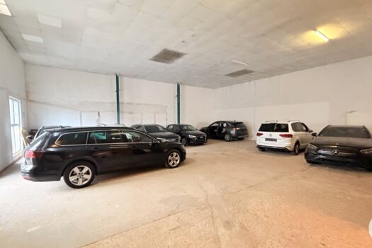 6TJiqmxCr5tFXHekpCEkrr