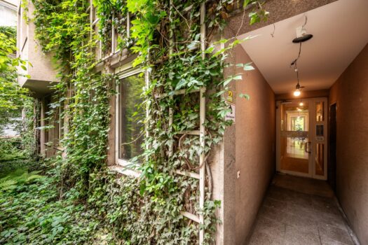 ++BESTLAGE++ Tolle 2-Zimmer Neubauwohnung - völlige Hofruhelage! 6VSspiURnjUoC2Ue7KZg1p 1