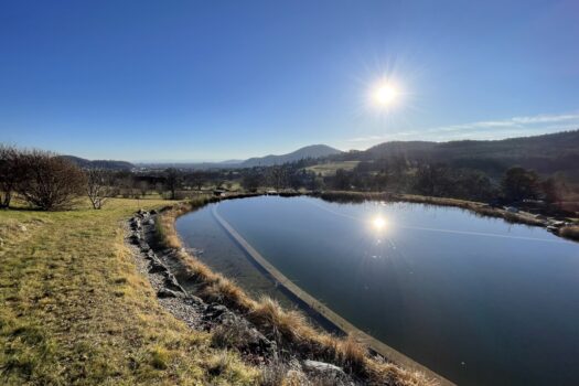 6p8jj3i5Vp6EBdrh1LdgAs