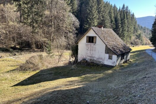 6pZPVFoQi2tx5clkjYNZy9