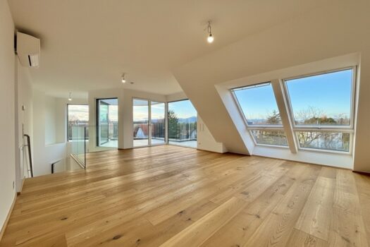 6uFTF47BjZgTG0luYZPVsY