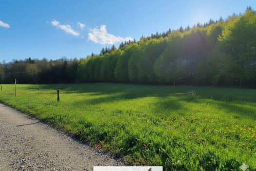 6yq8crM8aFtF2yUd9jAEvq