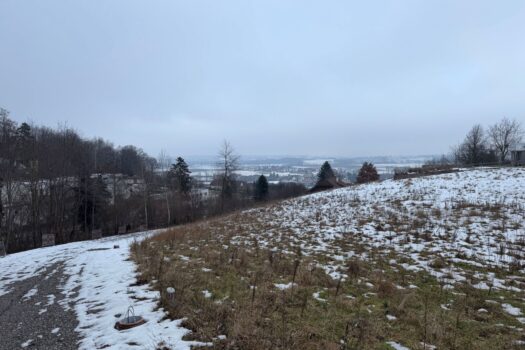 6z6ifU8qsy32Z2aXOPXpBu