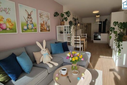 6zXhKHG01b65QGaCTKxfGd