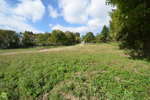 719oUvTdameahHrO6BgMt