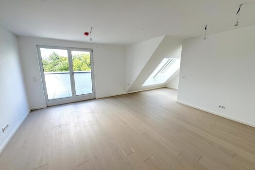 78FyjB6JXgpj6q2VrRONoX