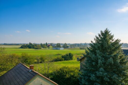 794h0A5OzlDUkbzOw1E1DO