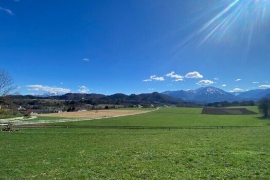 7DTv8bONa96vC7SqAa3LZQ