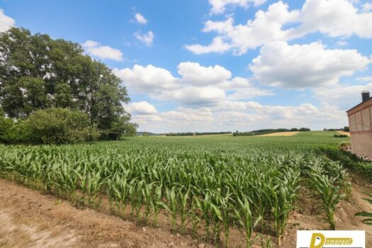 7Hp6oKhnvjDT2sS3hSwdlO