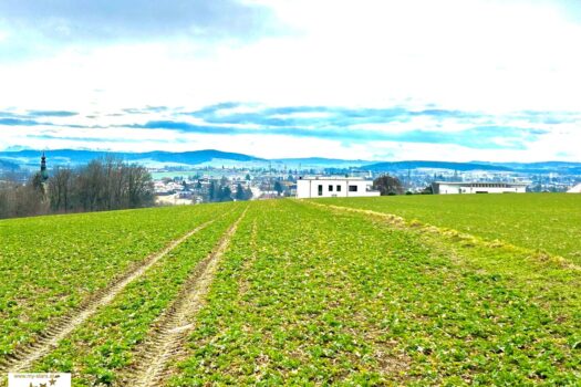 7fzd02s4hnDQMXZfCfeuLe