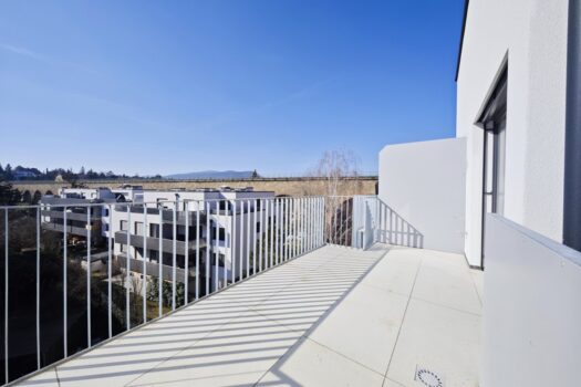 7kBgcTsIDBNgEnVbPSFHGY