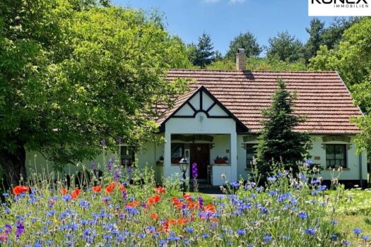 8bslYhuygMO3gY9OX6AYX