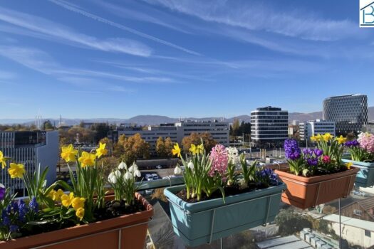 BbcTvuQBZUWaWMT45ivUX