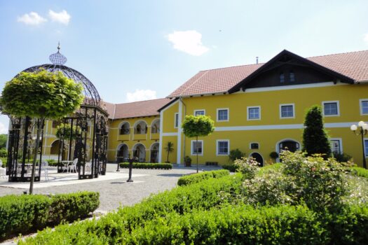 DfT50OzT1ufpAKpEJ2MZ8