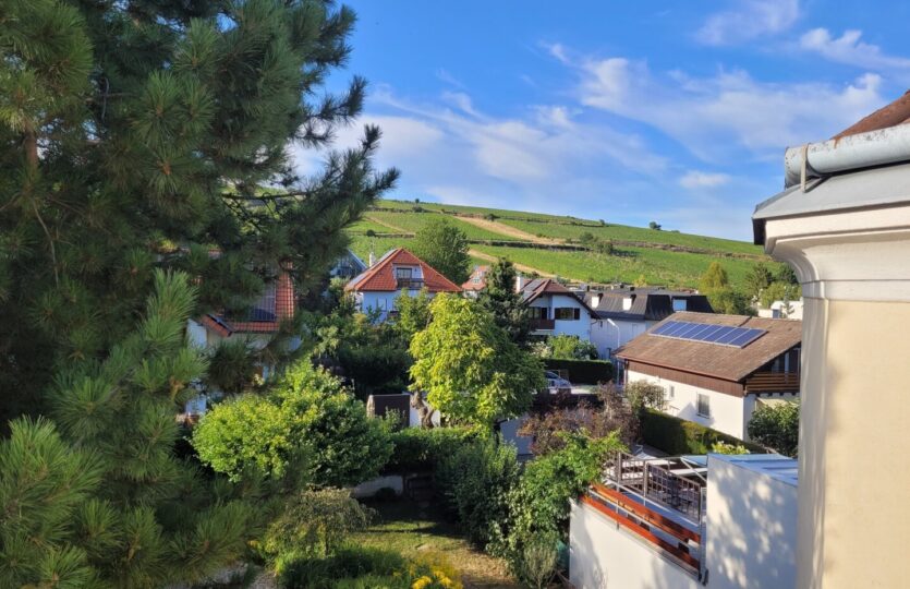 Weinbergblick
