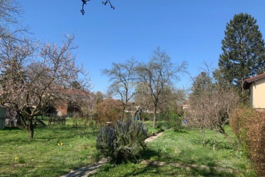 ONNYUsFgwZK2EcB3OcHPg