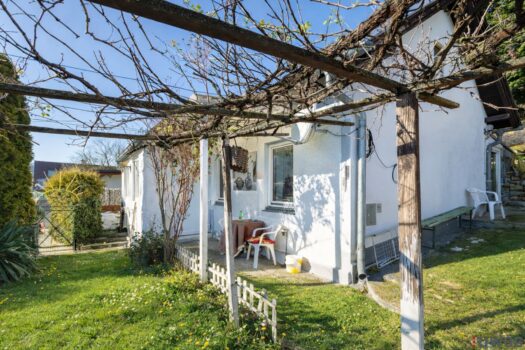 PzYWMFY0xuObl1mwuR8OB