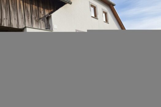 Haus - NESTOR Immobilien