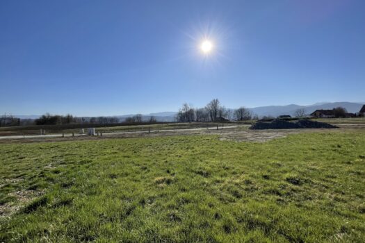 VXvAHf1dWn5V1YUrQ18lY