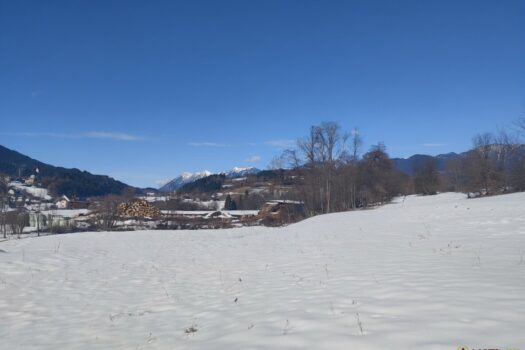 XDFK136Yx145KdcgDZMht