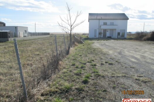 Seegrundstück Neusiedl