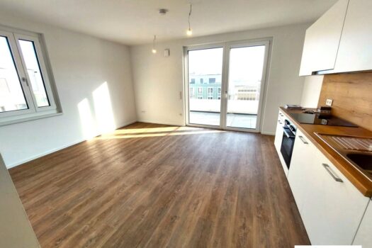 ioGahO91ViSmwvQutmdAL