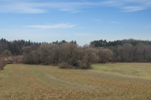 j8VxDmdQMVm4RazUmzJqp