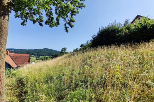 kUfKUnW8zd6Acrc6nbQo0