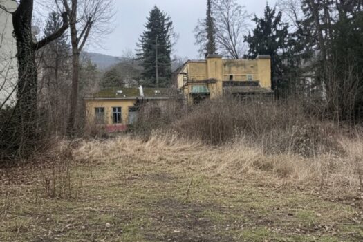 pJ3y16QxjE9uTguosDYUy