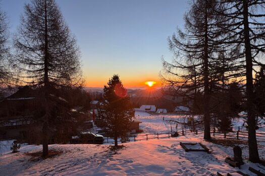 tcyalKIWHeFhBbF3TvidA