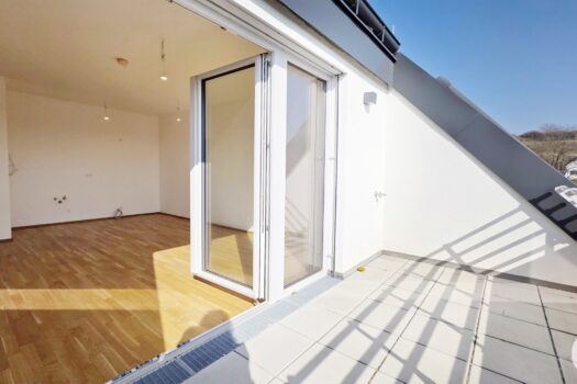 11Ls2nn8A6Adhjo88YMgUp