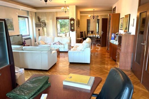 1711356754 dnevni boravak