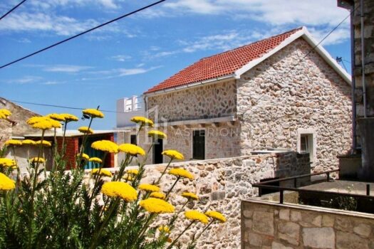 1761748228 3b3ff98d 407b 46ed bee0 650f94974e26