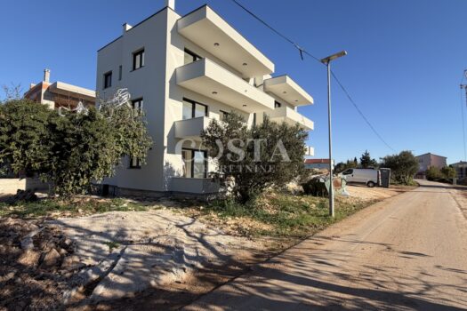 1762717730 img 8665 4