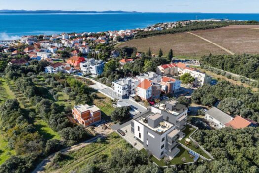 1763839959 94f44442 eeda 4a94 b0b7 586d4e152222 2