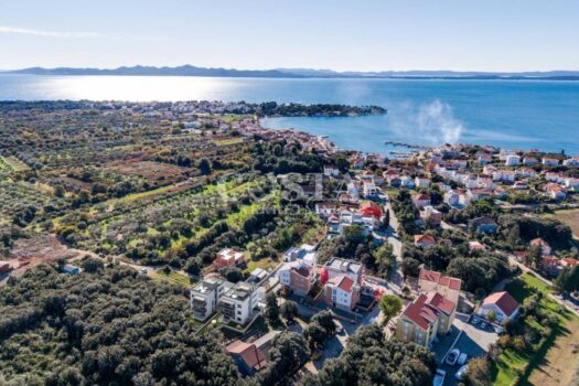 1763839974 0d0ca5ad 7a0f 435b 83ca bbe772915d4c 1