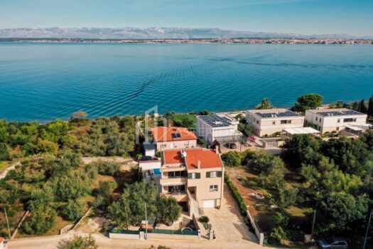 1765295065 860b3f31 ac31 4ee7 84de 4c12671da505