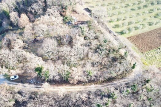 1767189435 dji 0515