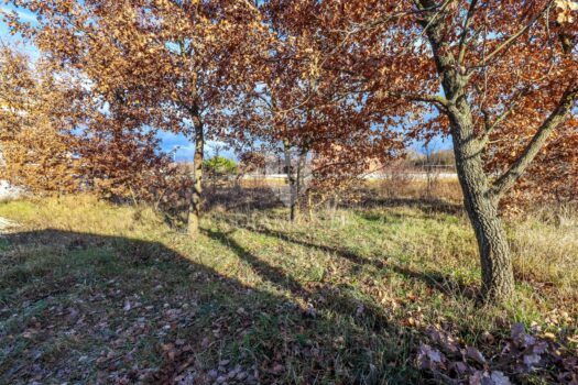 1770294978 building land for sale istra 3 of 6
