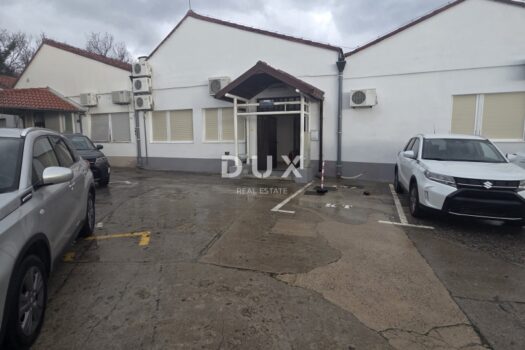 1771534933 20260219 103234