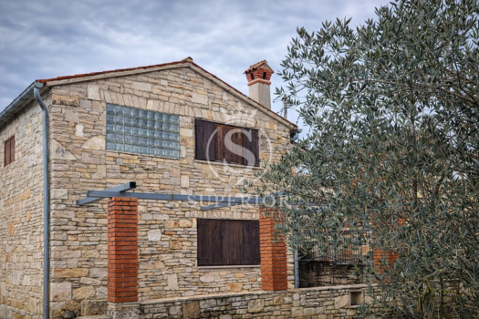 1772392368 chatgpt image mar 1 2026 08 12 39 pm