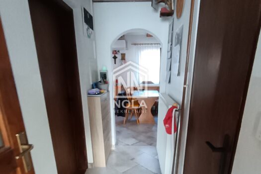 1772402154 img 20260228 082719