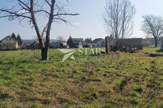 1772738936 img 20260303 104816