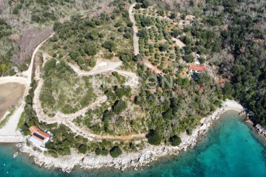 1772785744 dji fly 20260303 135814 243 1772542943461 photo optimized